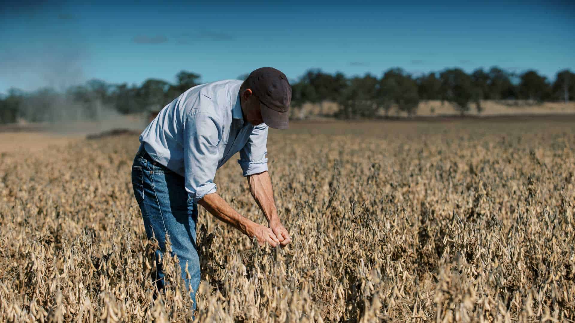 Rural Financial Counselling Services